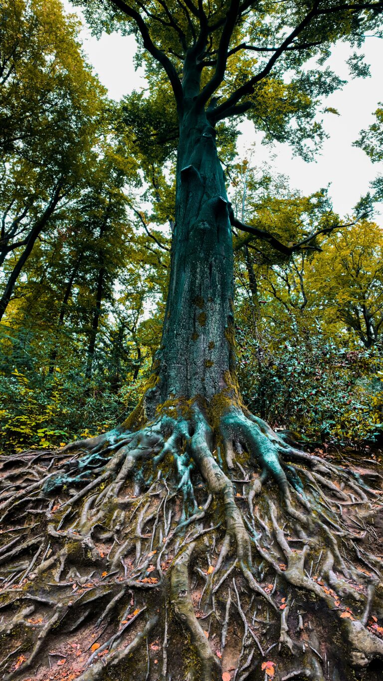 Vertical and horizontal growth